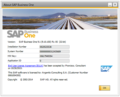 SAP Business One 9.1
